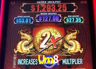 Explore as vantagens do Um8: serviço profissional e confiabilidade